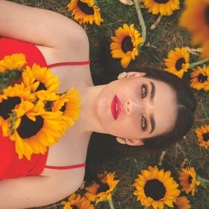 Meet your Posher, Danyi